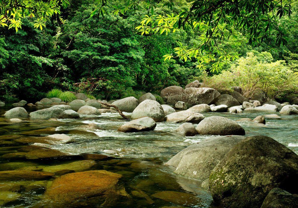 daintree rainforest river