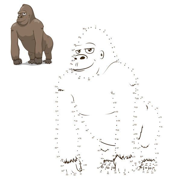 gorilla