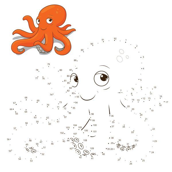 octopus