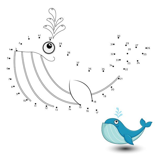 dot to dot whale
