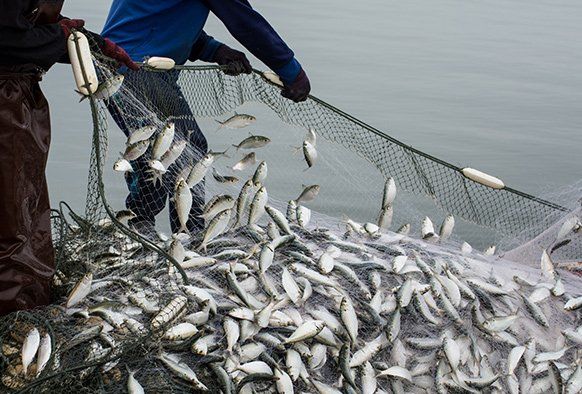 fishing