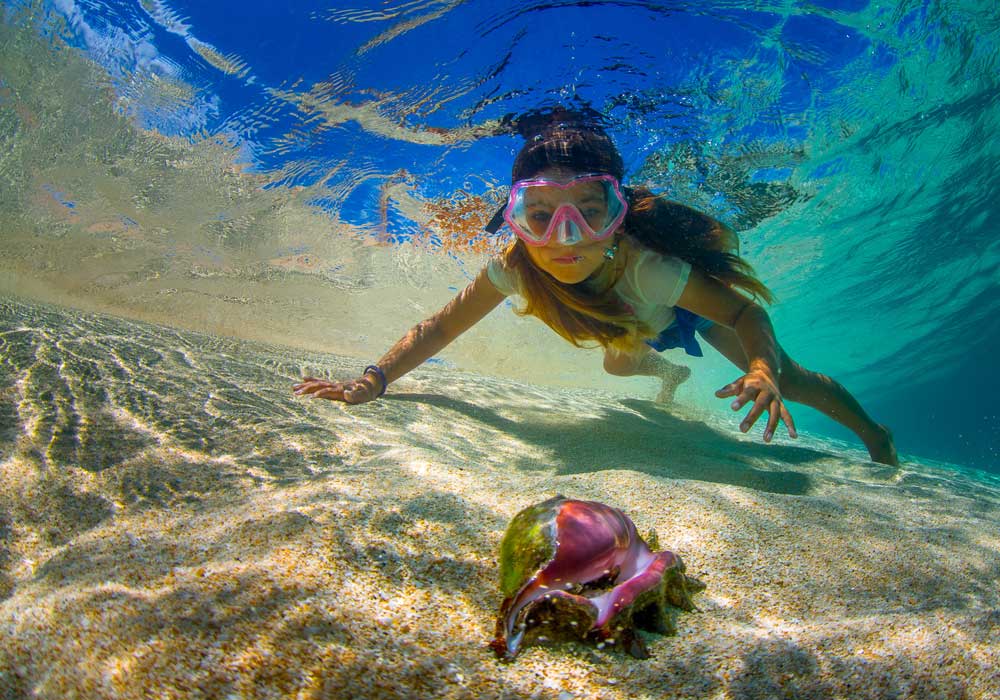 girl finds shell underwater