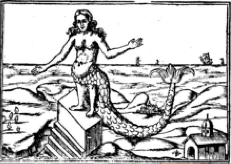 the first mermaid