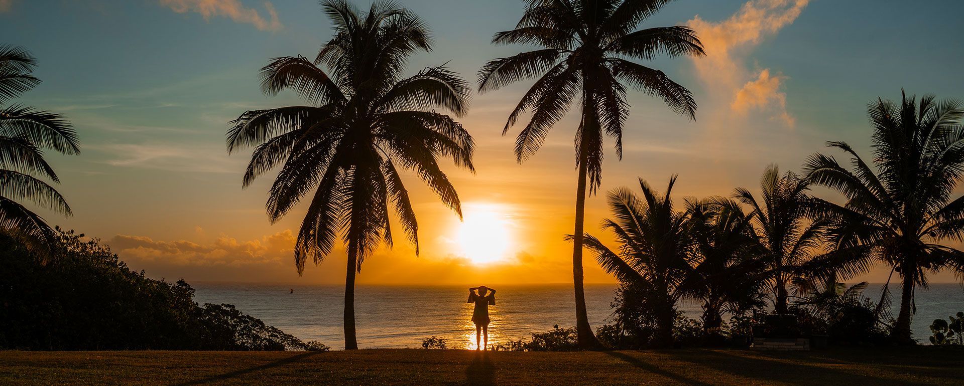 Sunset over ocean with silhouetted palm trees and a person standing in the water.