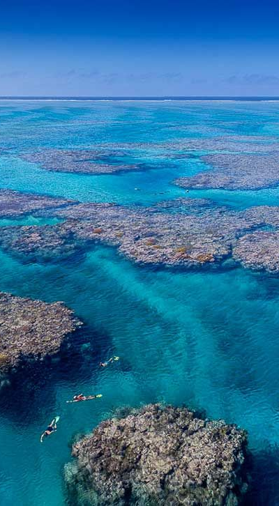 Aerial view of snorkelers swimming in clear, turquoise tropical waters near a vibrant coral reef.
