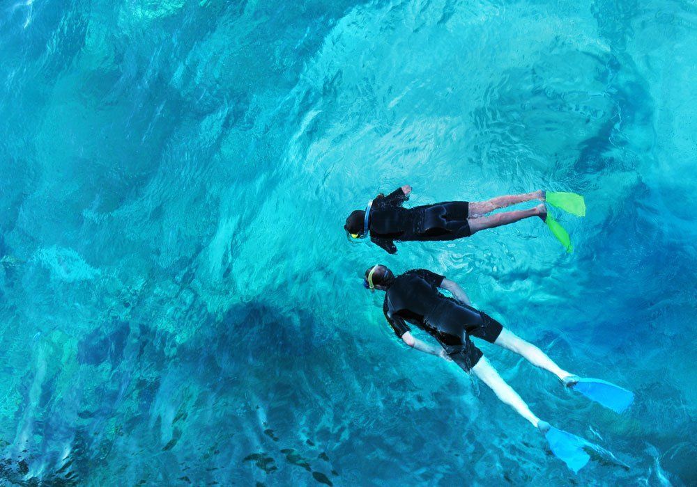 snorkelling great barrier reef