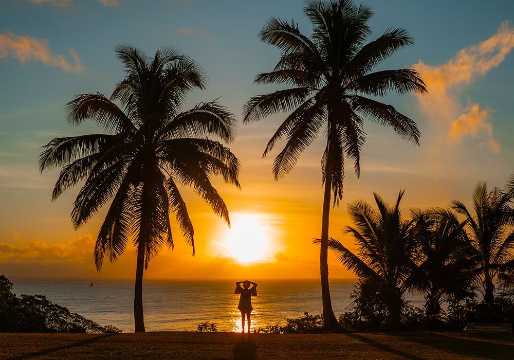 Sunset over ocean with silhouette of person and palm trees.