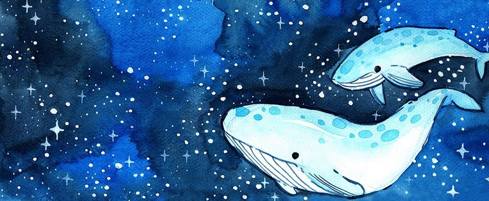 whale dreaming