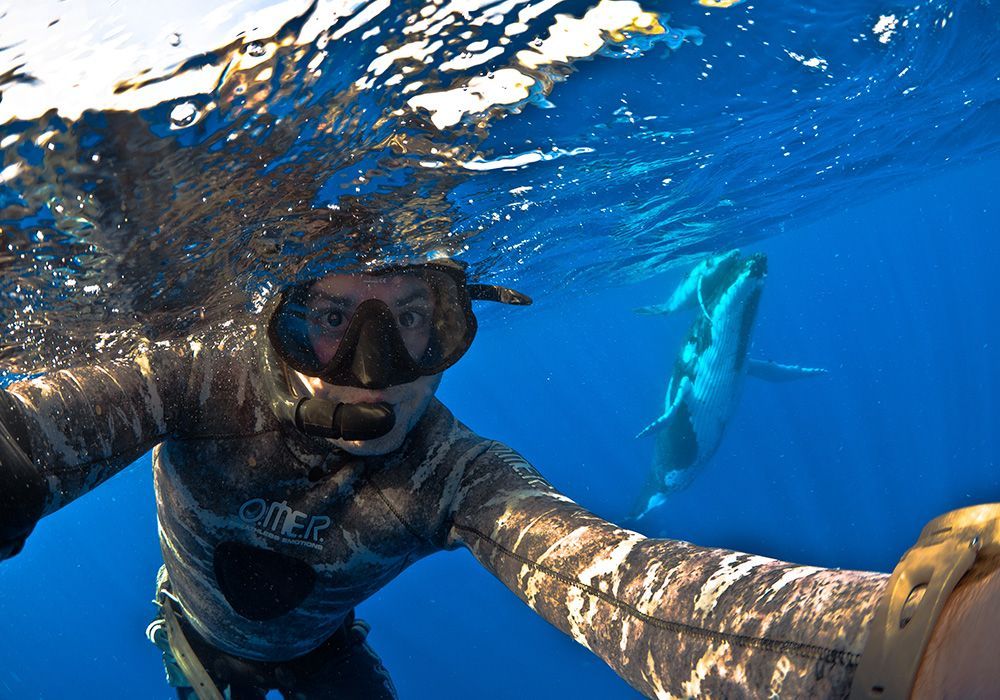 Scuba diver taking a selfie underwater with a whale shark in bright blue ocean.