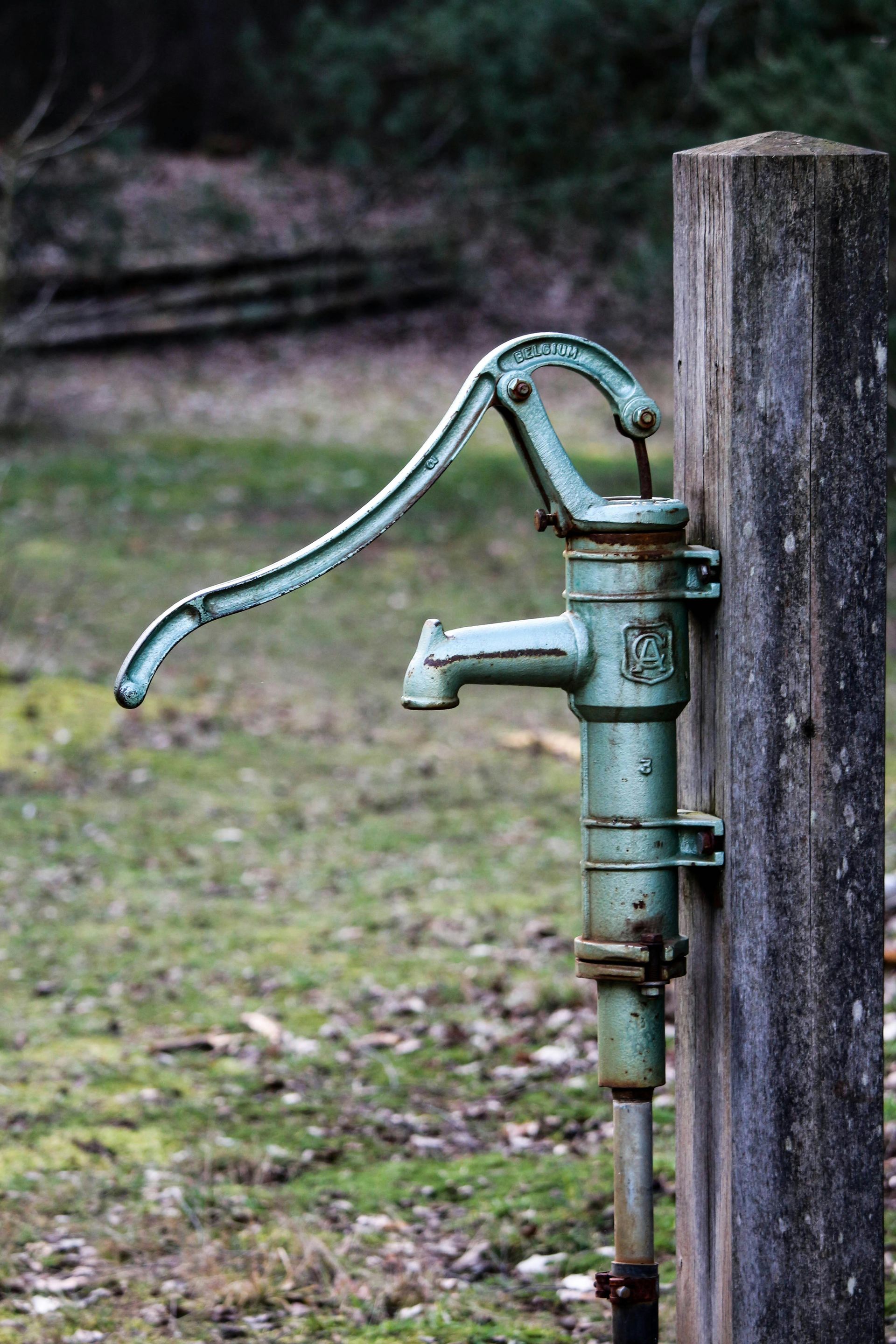 A weathered, light green vintage cast-iron water pump stands attached to a wooden post in a grassy, wooded area.