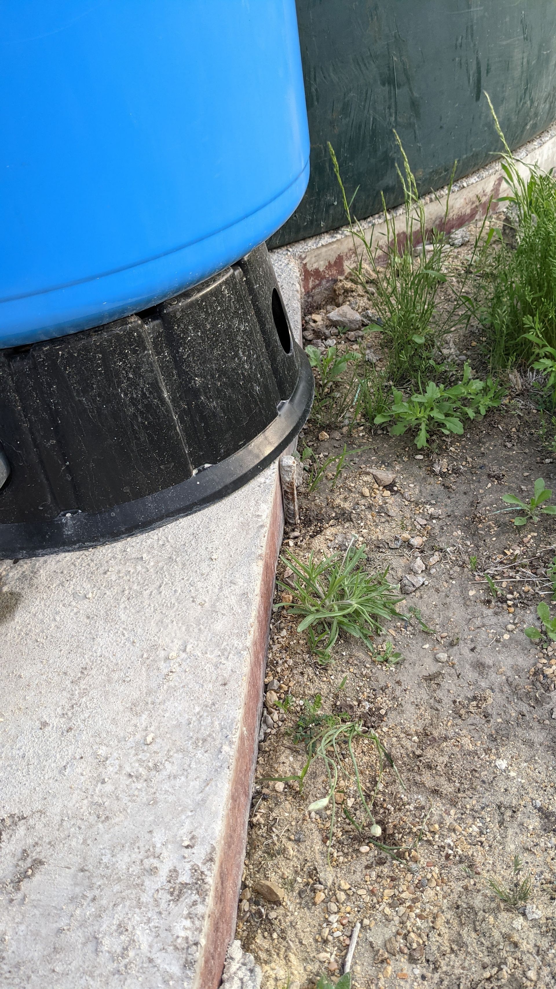 A blue tank sits on a black circular base on a concrete patio edge next to patches of dirt and weeds.