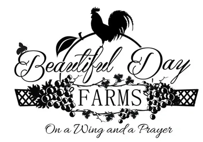 The logo for beautiful day farms on a wing and a prayer