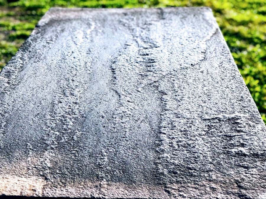 Textured gray concrete slab outdoors with green grass background.