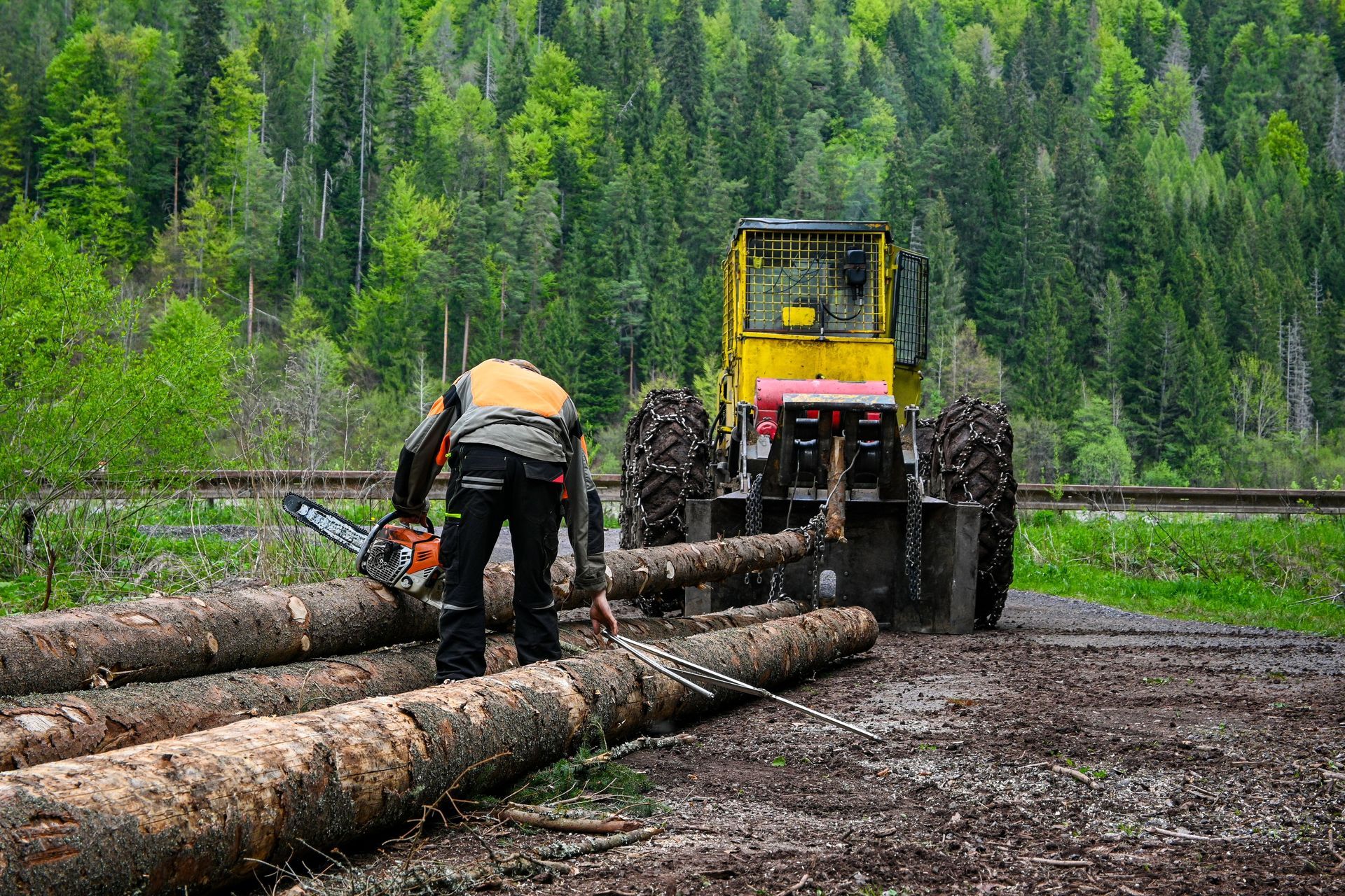 Logging Services