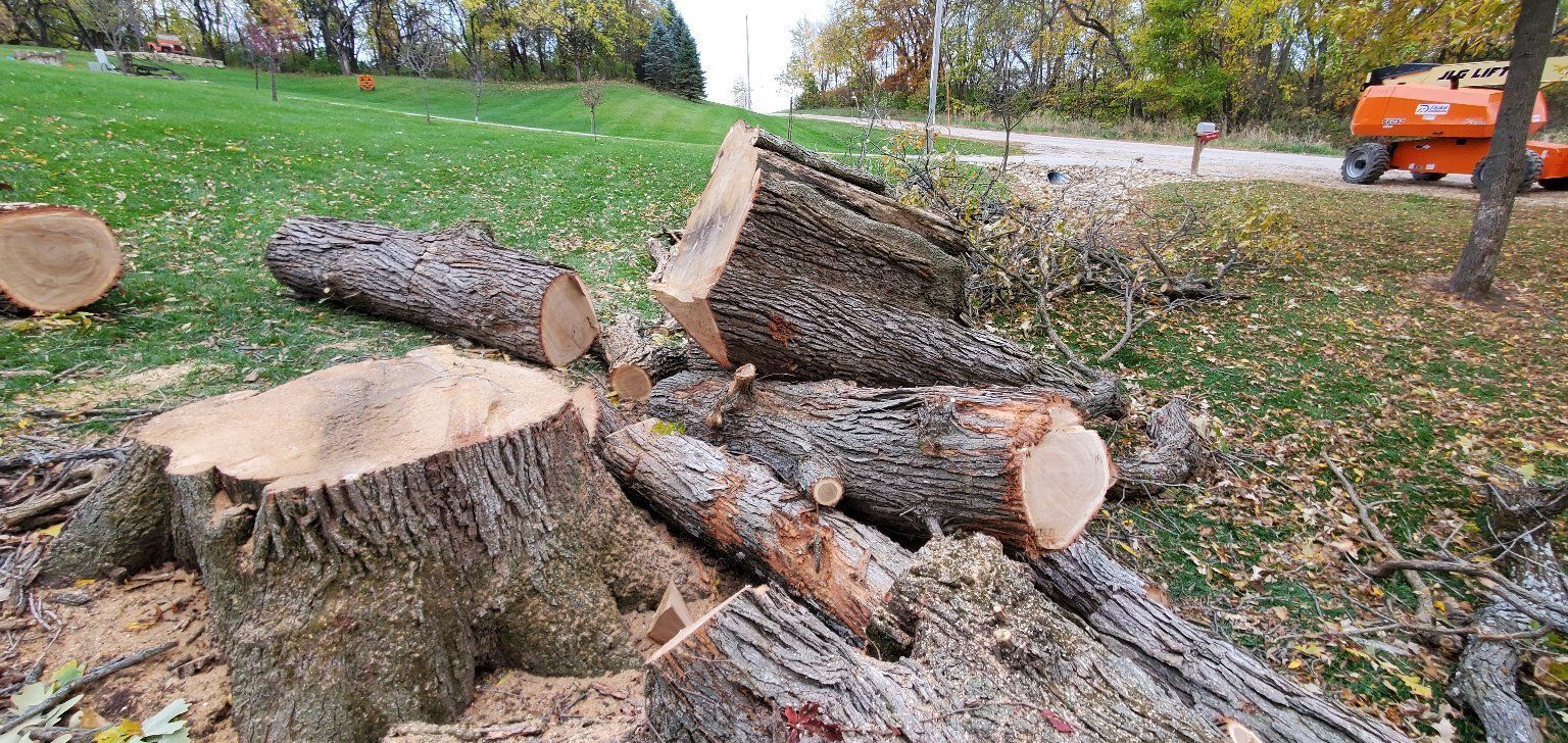 Cut tree logs and stumps on a grassy hill; orange construction vehicle in the background.
