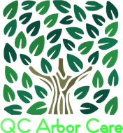 QC Arbor Care QC Arbor Care