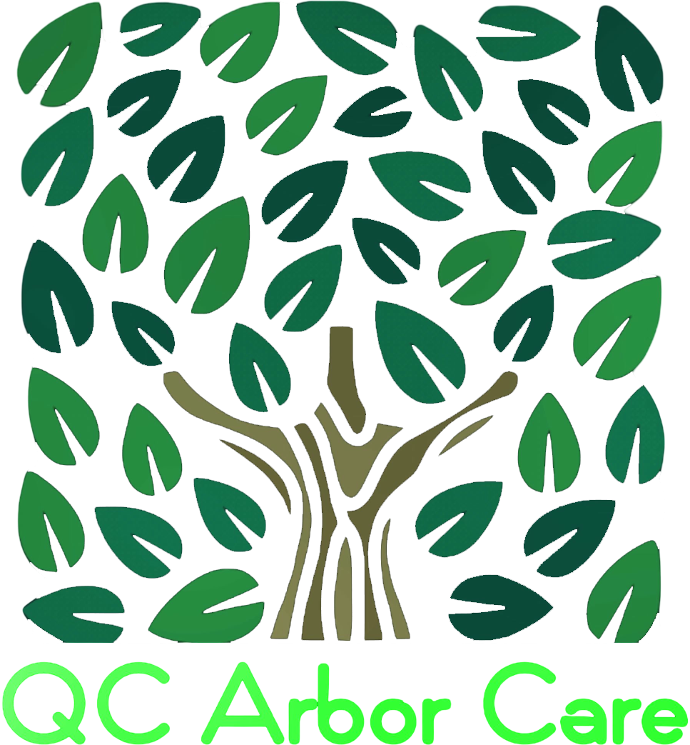 QC Arbor Care