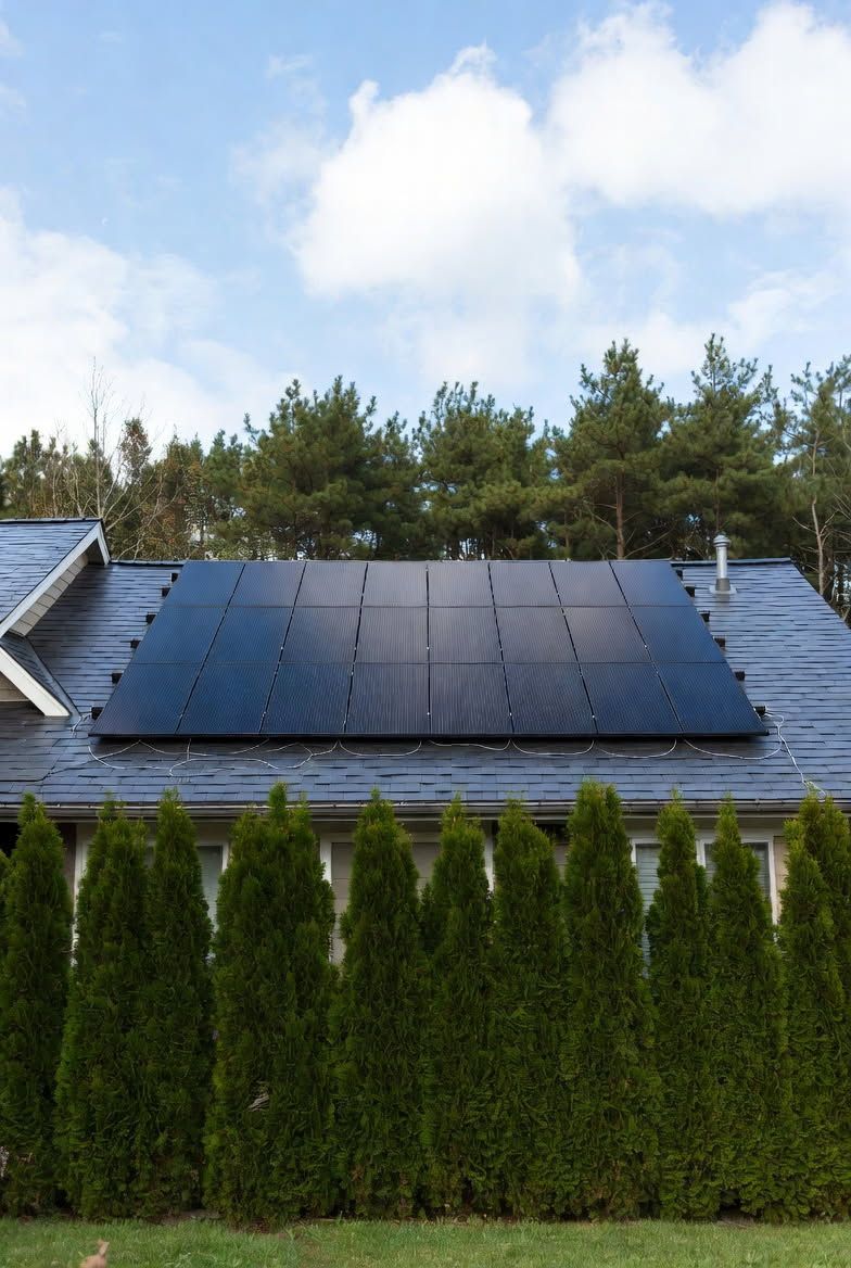 Solar Panel Tree Clearing