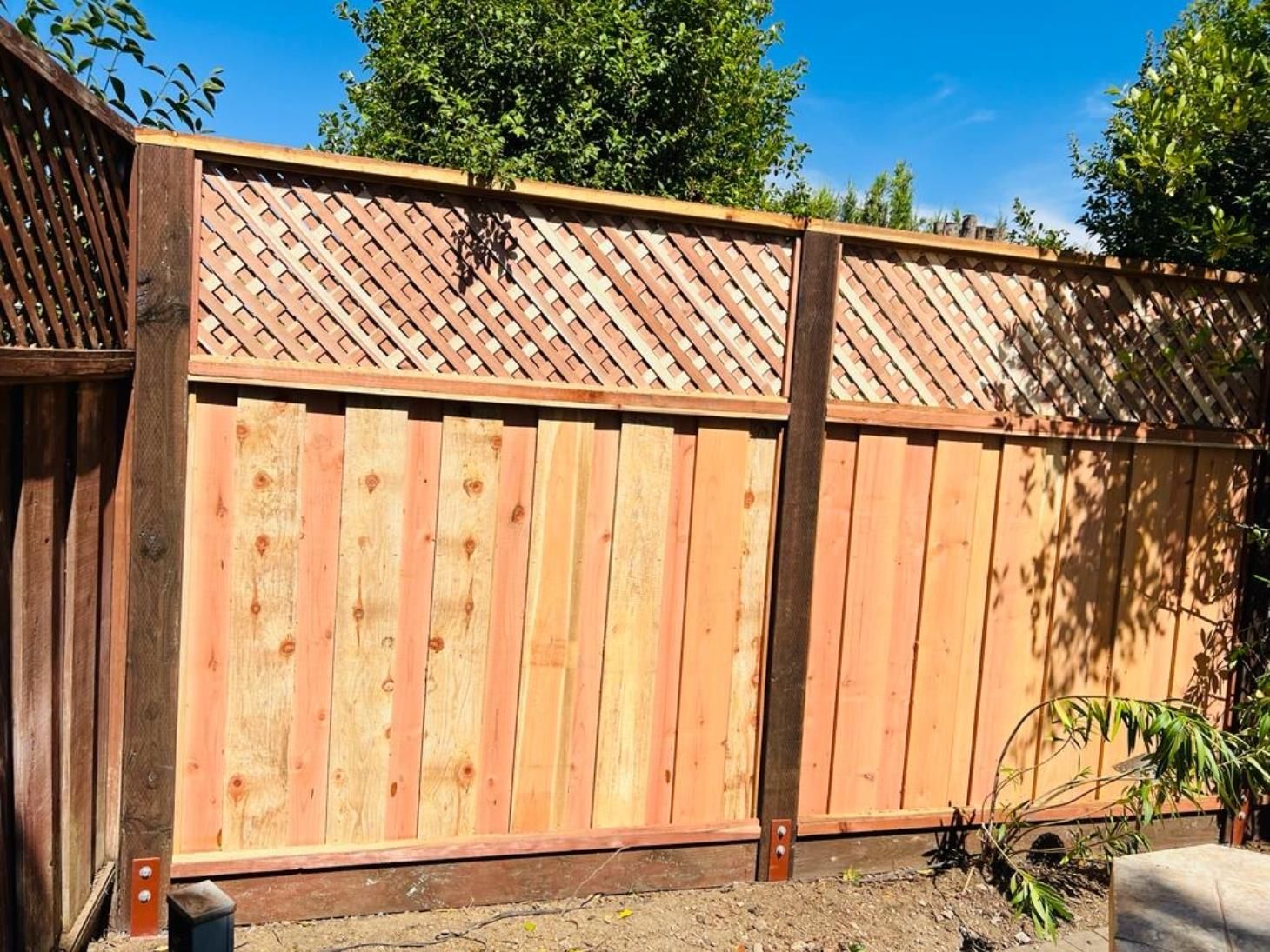 Freshly installed cedar wood fencing bordering the side yard, exuding a natural and rustic charm.