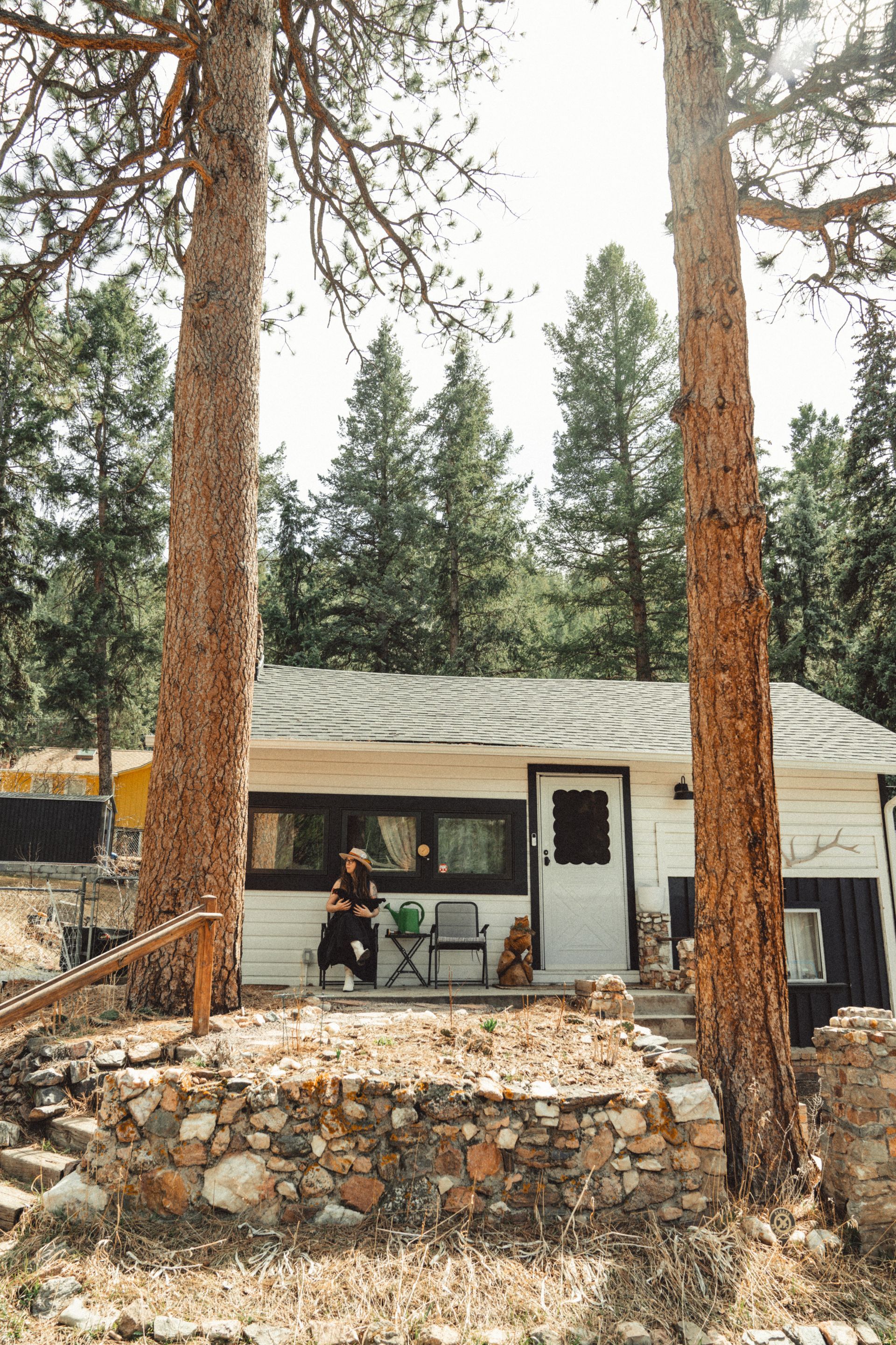 film photography by howdy creek cow skull
