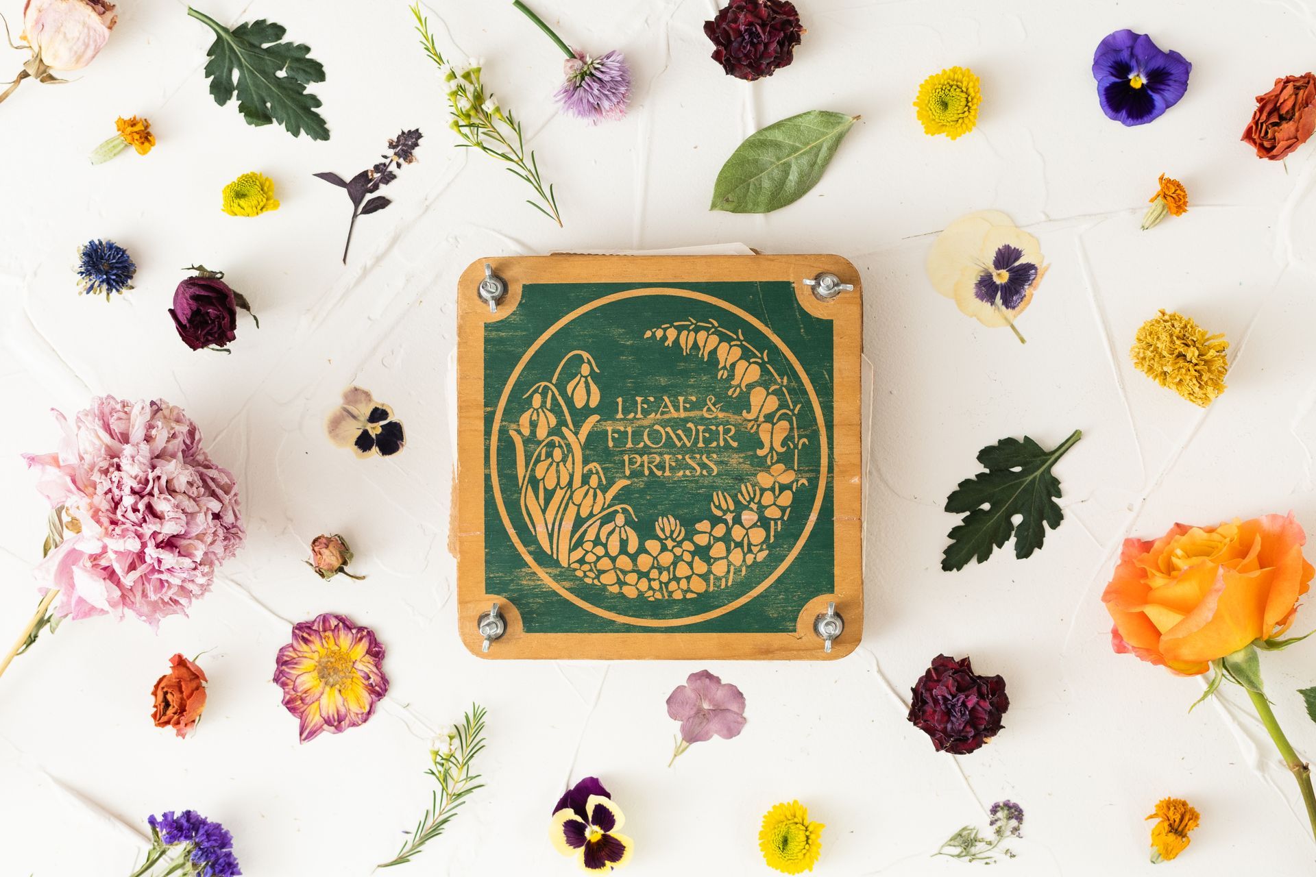 The Spruce Crafts How to Press and Dry Flowers