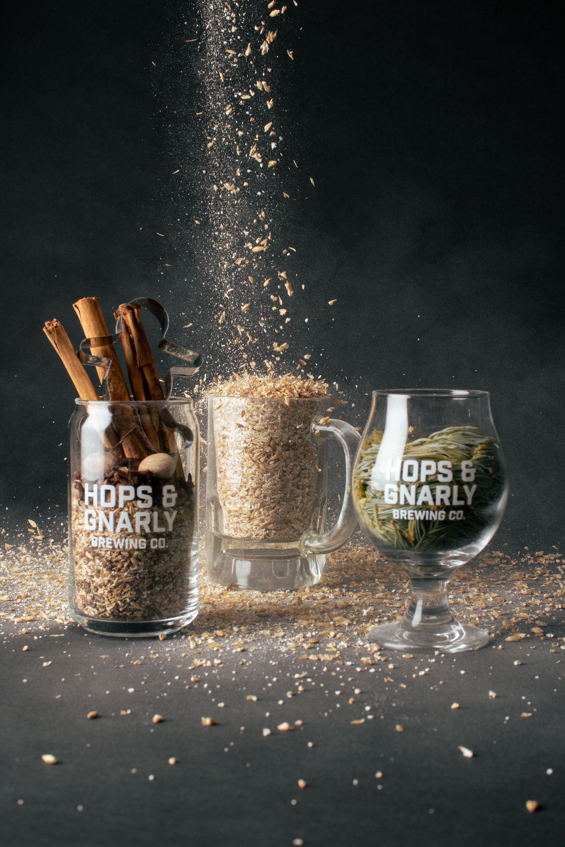 Hops & Gnarly Youtube Best Beer of the Year Zine 