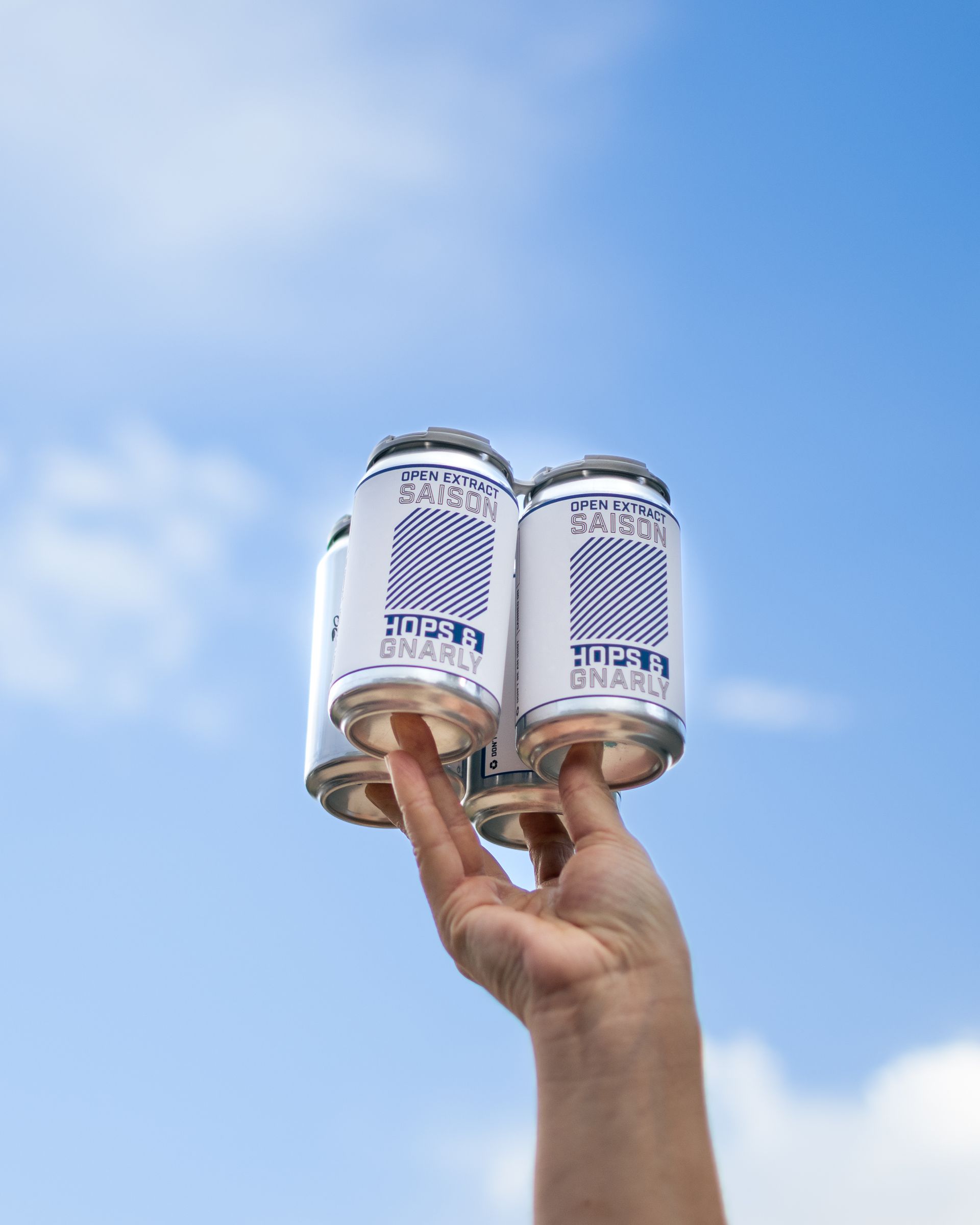 Hops & Gnarly Youtube 4 Pack Beer 