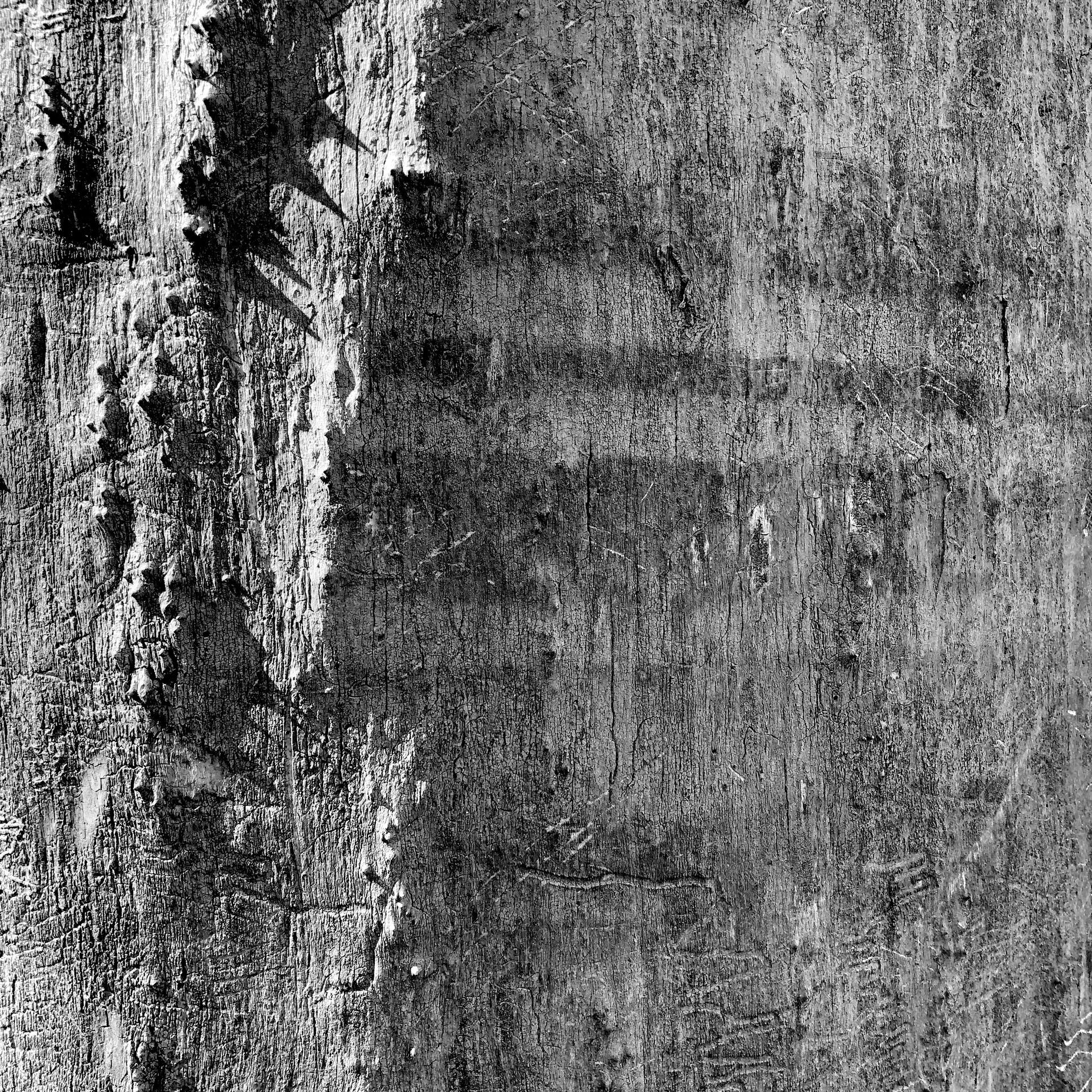 A black and white photo of a tree trunk.