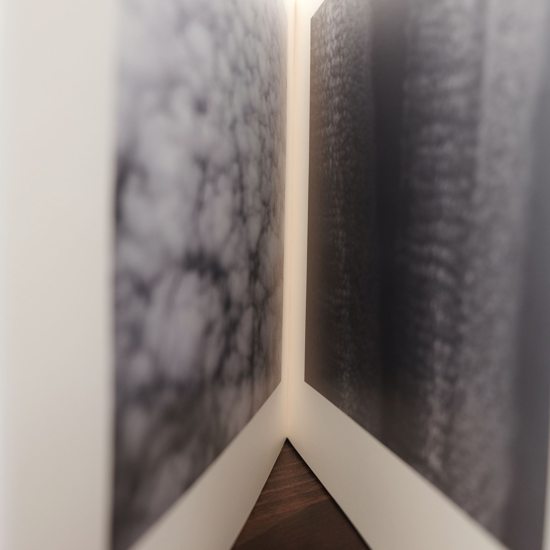 A corner of a room with two paintings on the wall