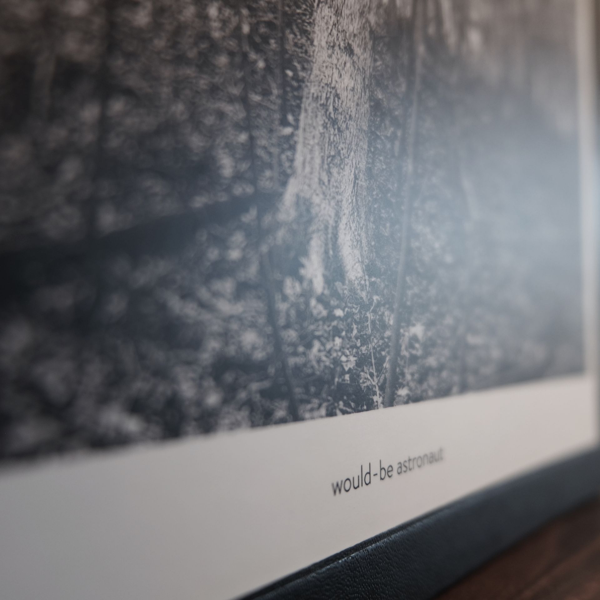 A black and white photo with the words would be astronaut on the bottom