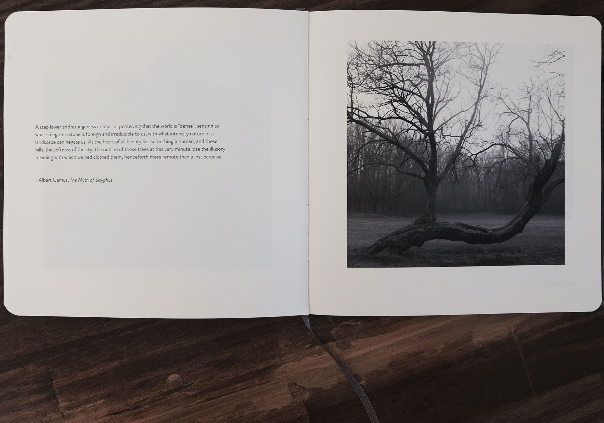 A book is open to a page with a picture of a tree