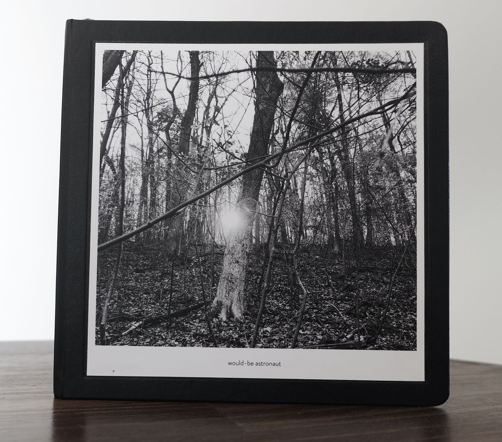 A black and white photo of a tree in the woods