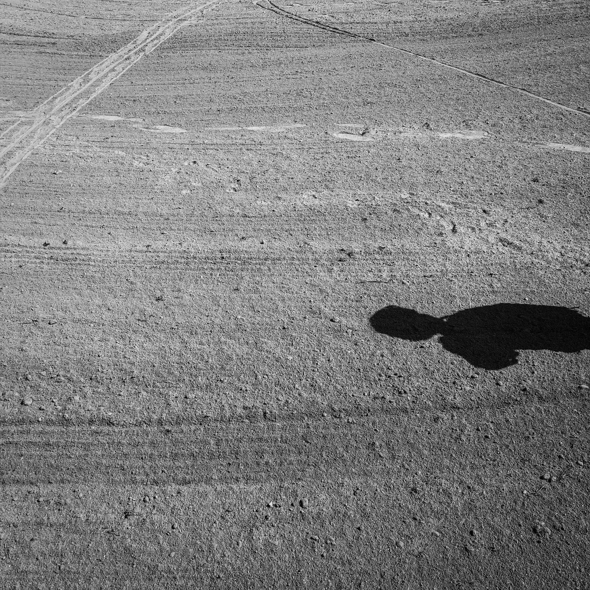 A black and white photo of a person 's shadow on the ground.