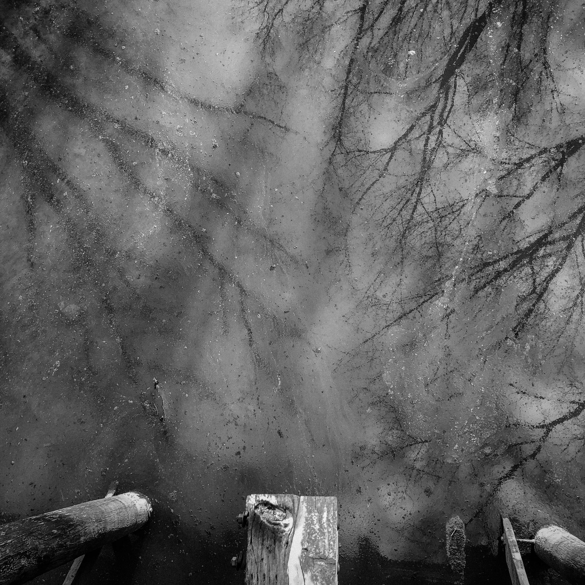 A black and white photo of a galaxy with trees in the background