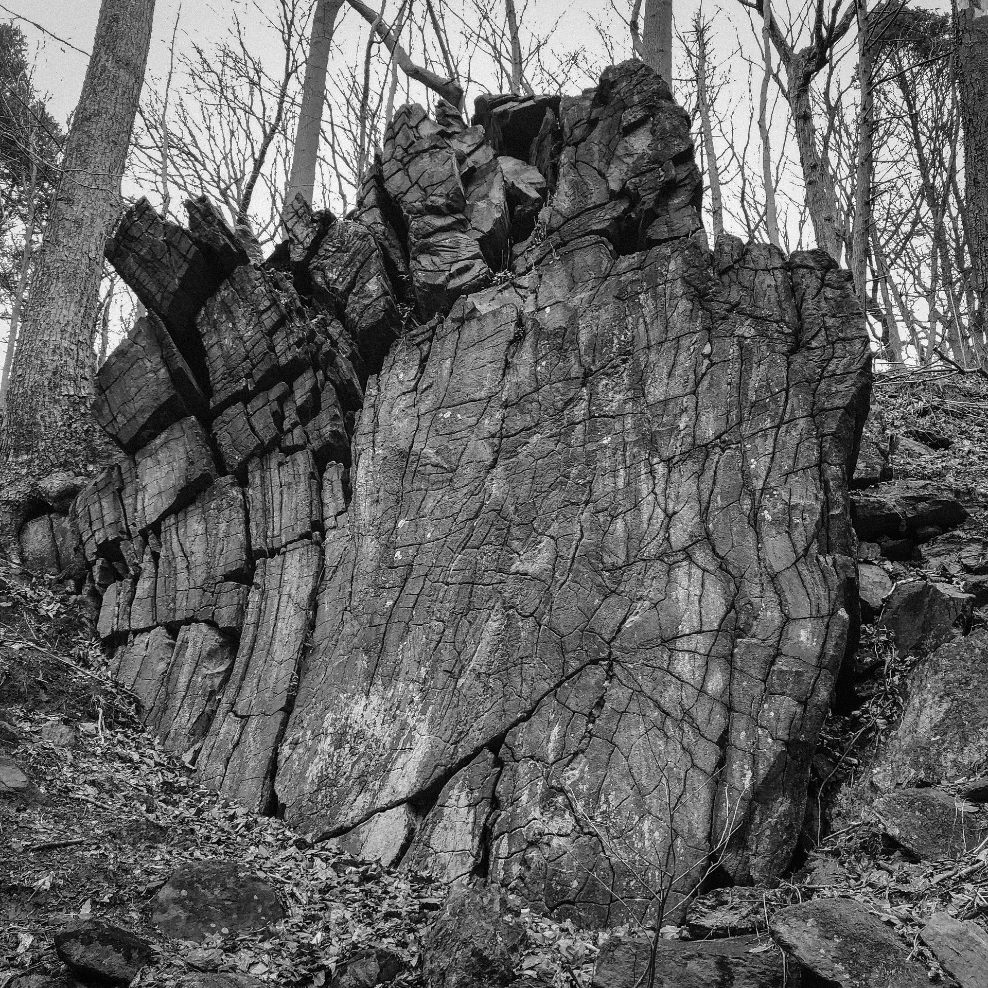 A black and white photo of a large rock in the middle of a forest.