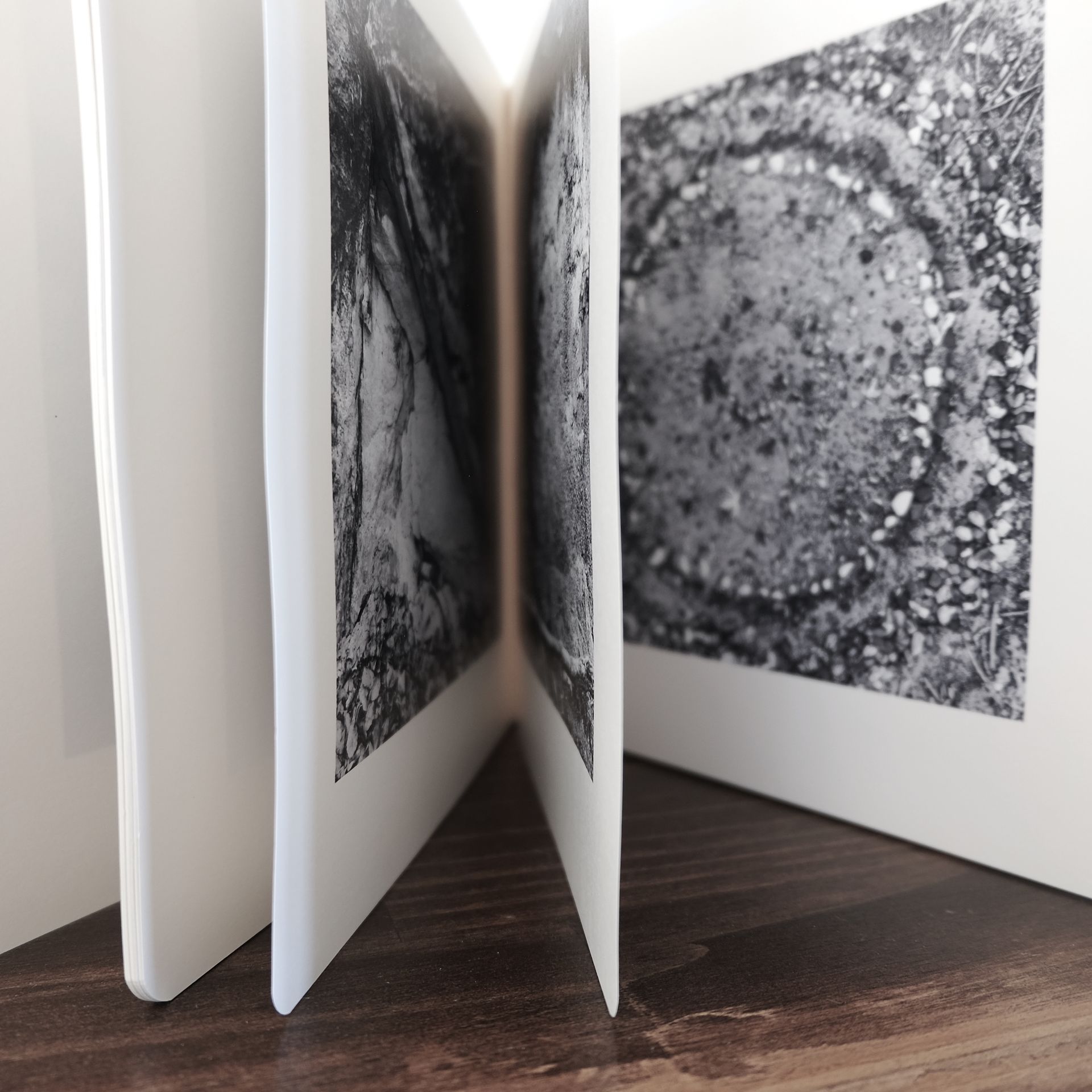 A book is open to a page with a picture of a circle on it