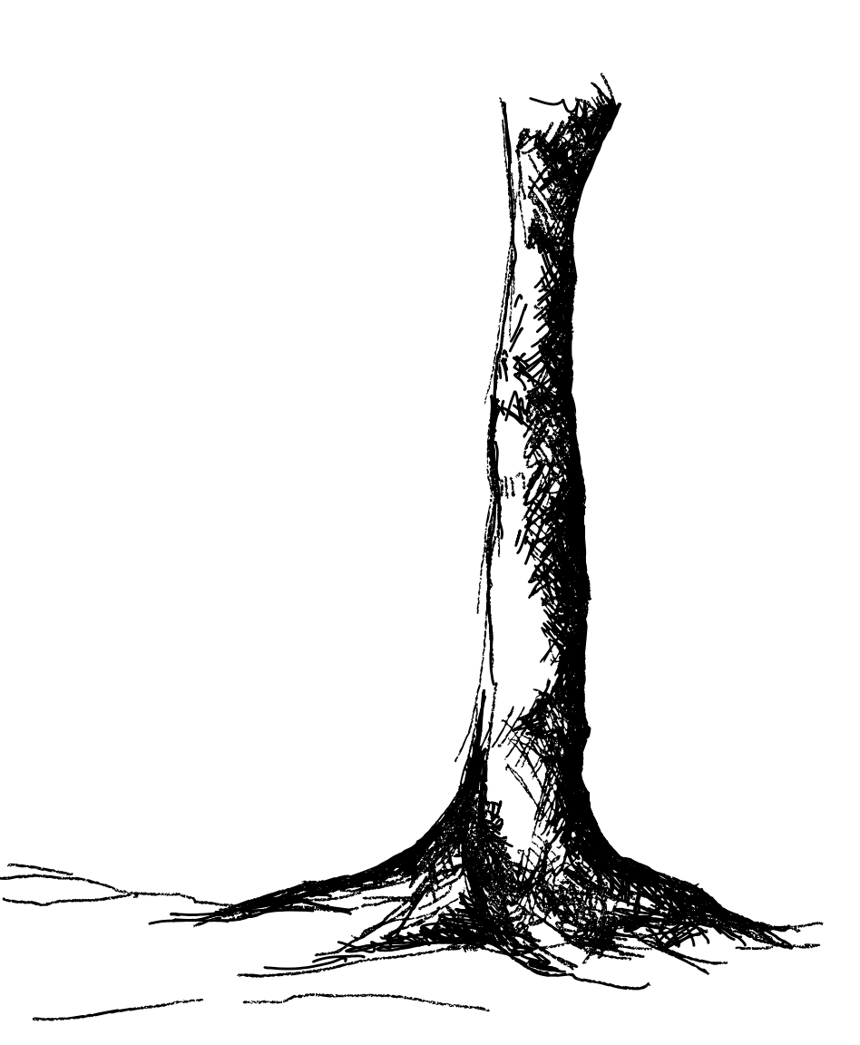A black and white drawing of a tree with roots on a white background.