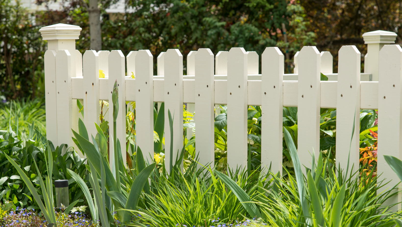 White picket fence in a garden with green plants and flowers.