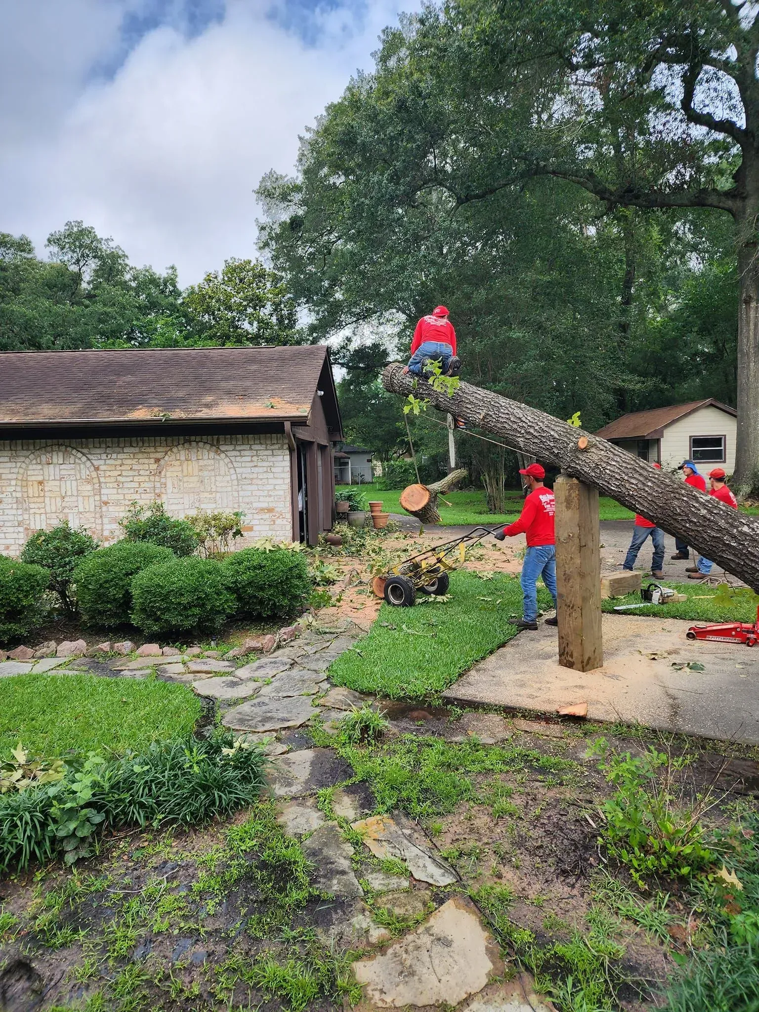 A group of people are cutting down a tree in front of a house.