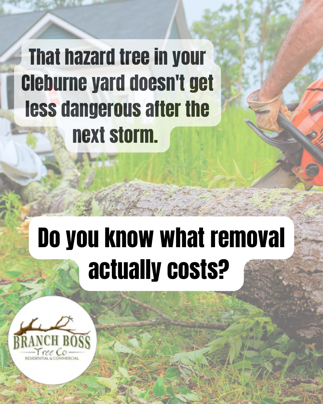 Dead vs dormant tree North Texas Branch Boss Cleburne Burleson TX winter assessment