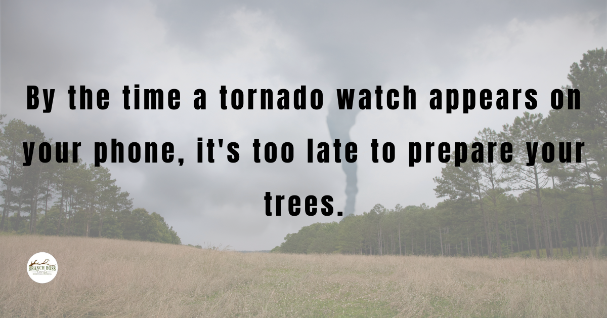 Storm season tree prep Cleburne Burleson TX Branch Boss tree service