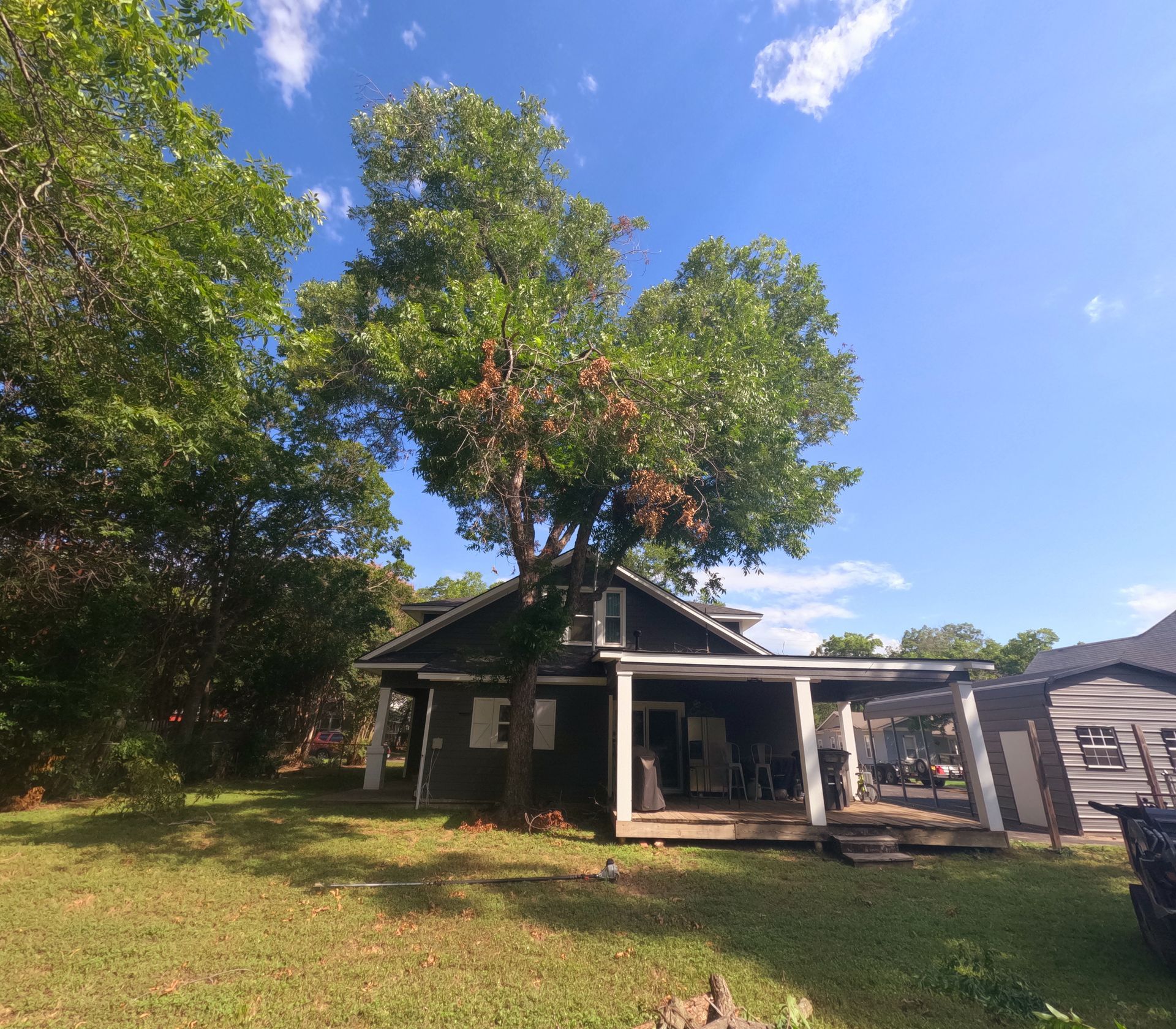 A house with a large tree in front of it