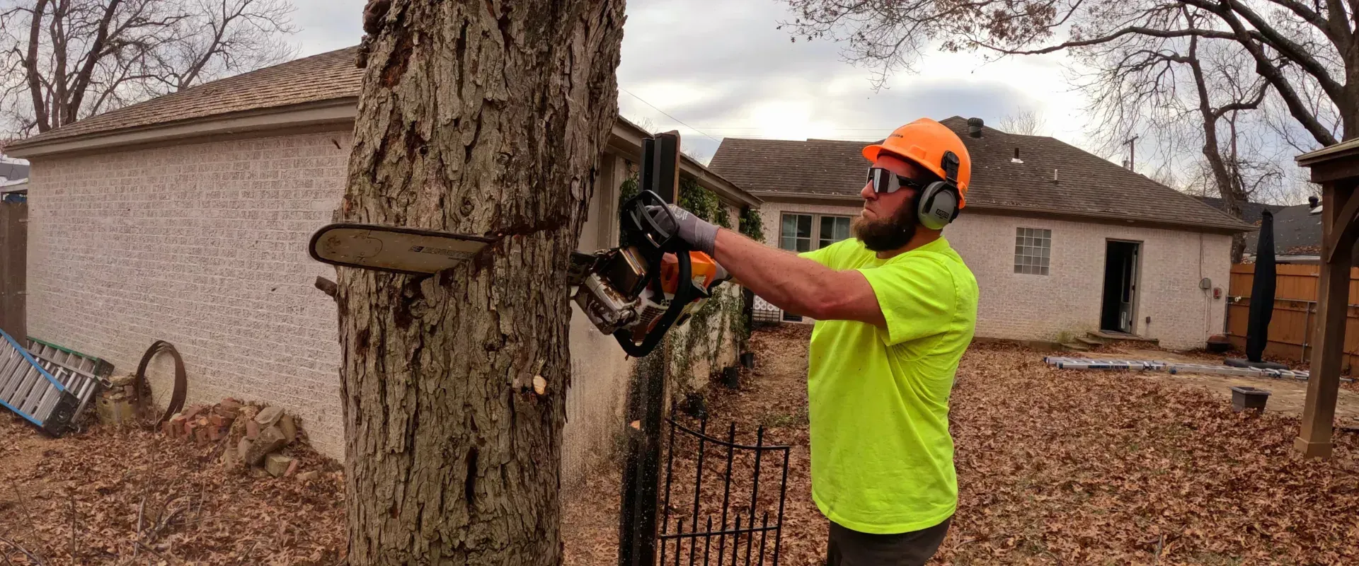 A person wearing safety gear cuts a tree with a chainsaw in a backyard. He's wearing a neon green shirt, an orange hard hat, and ear protection. A person wearing safety gear cuts a tree with a chainsaw in a backyard. He's wearing a neon green shirt, an orange hard hat, and ear protection.
