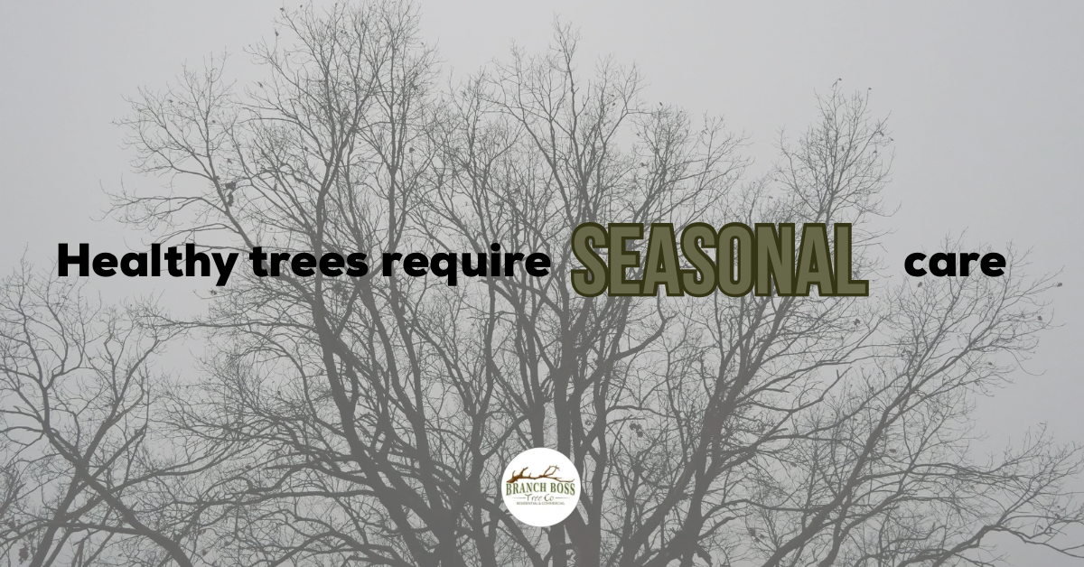 Bare tree silhouette with text: 