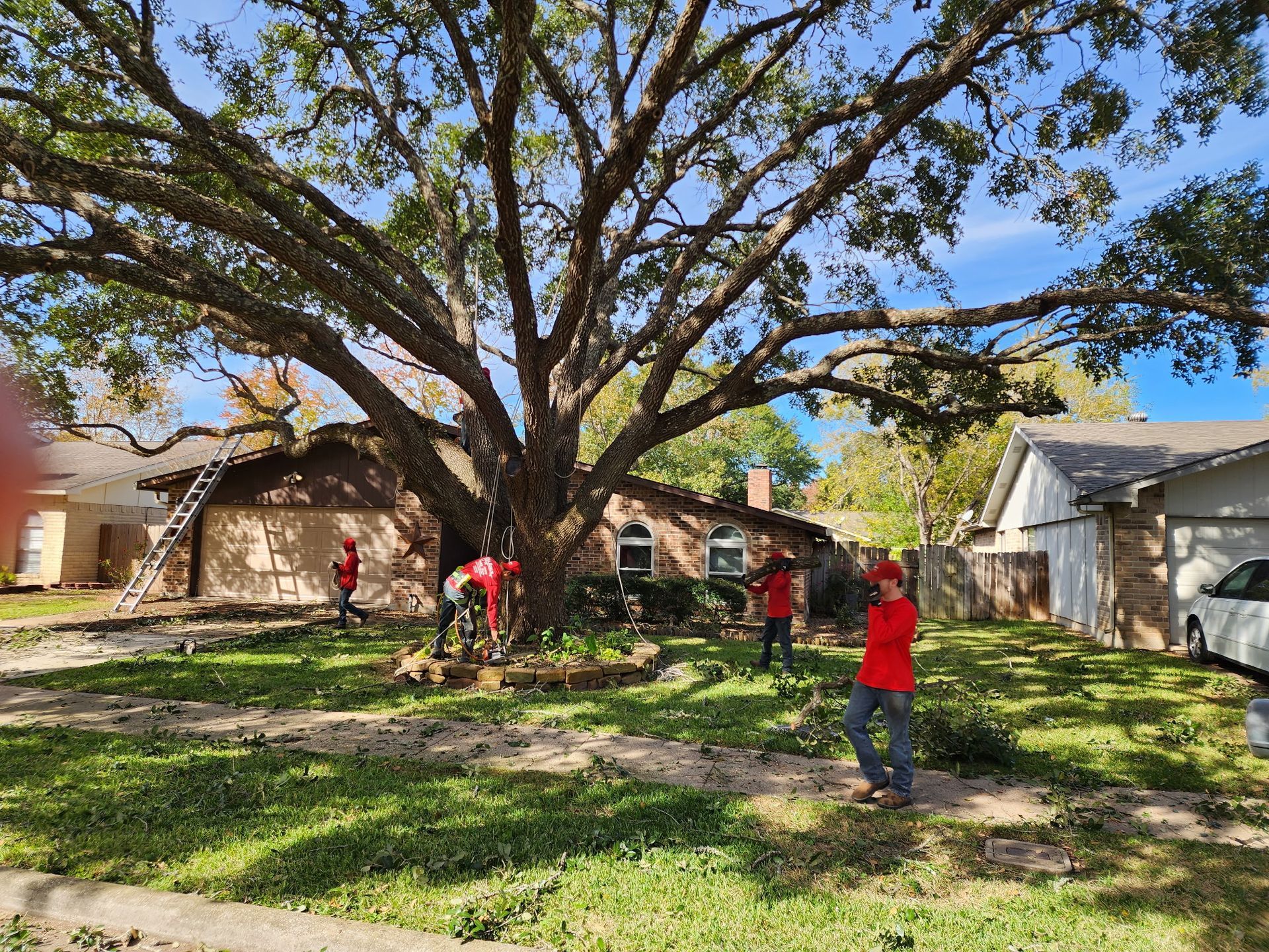 A group of people are working on a large tree in front of a house. A group of people are working on a large tree in front of a house.
