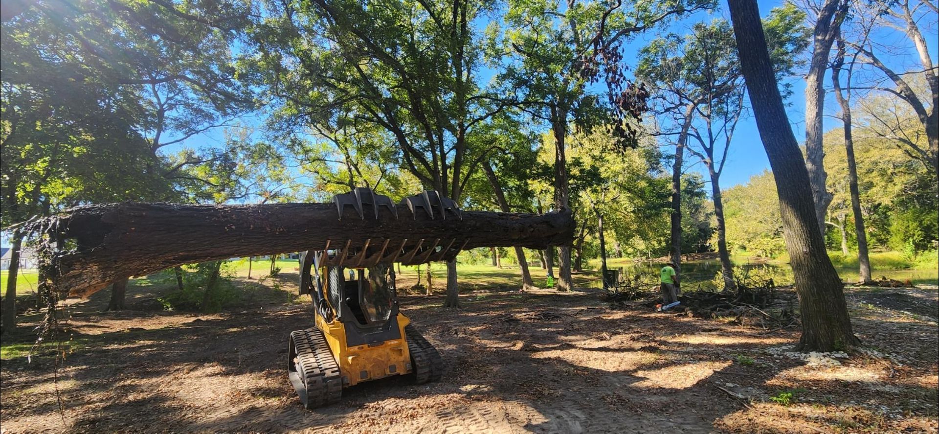 A yellow skid steer carries a large log through a wooded area on a sunny day.