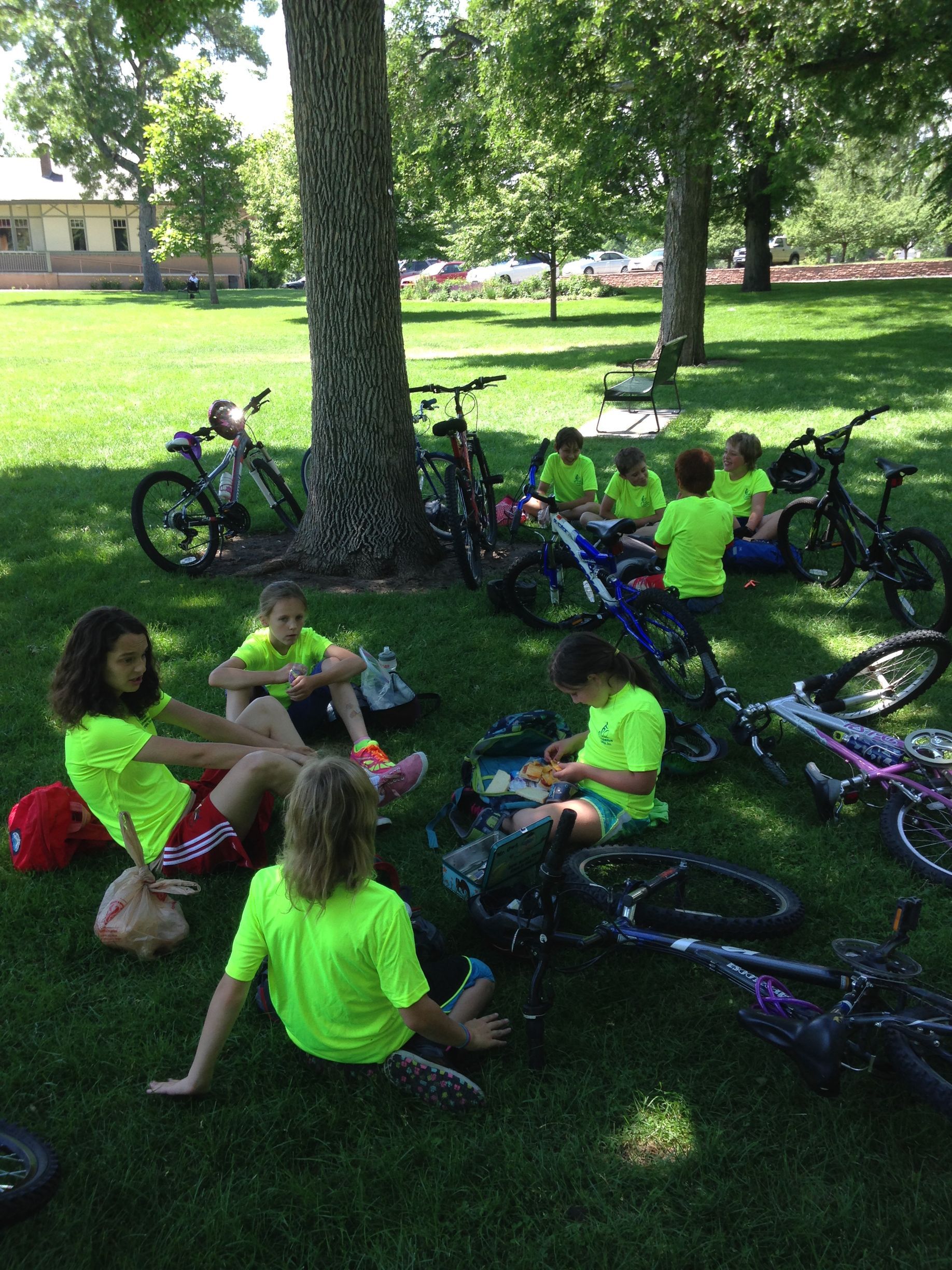 A group of children are sitting on the grass with their bikes.