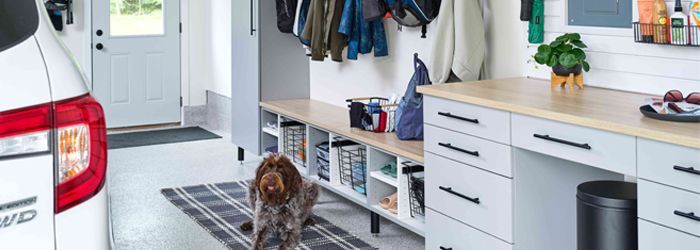 garage storage cabinets with dog laying in front on a rug 