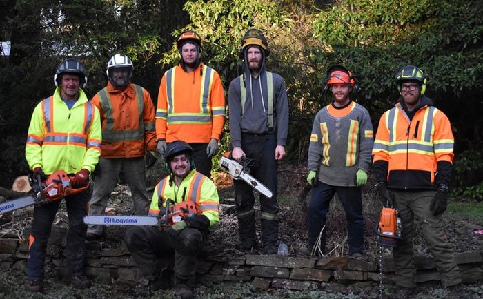 A tree service team of 7 smiling men in safety gear holding saws posing for a group picture