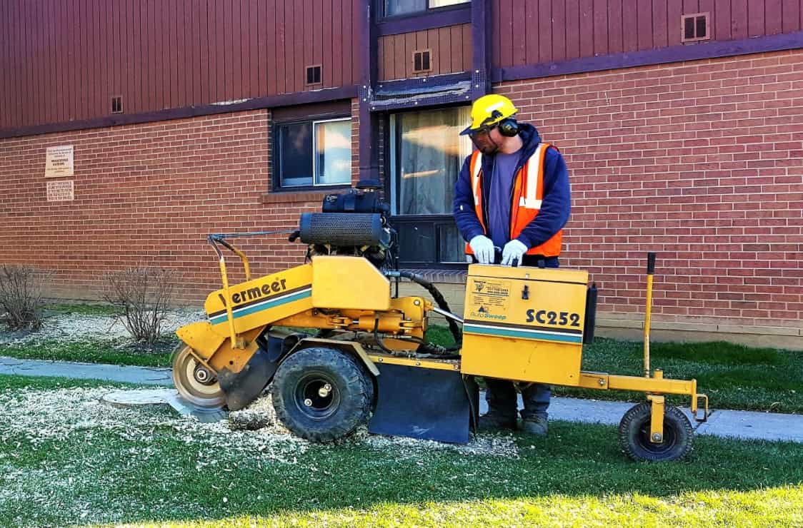An arborist is pictured in a yellow helmet, orange safe vest, and gloves operating a stump grinder to grind out a stump that is in the ground